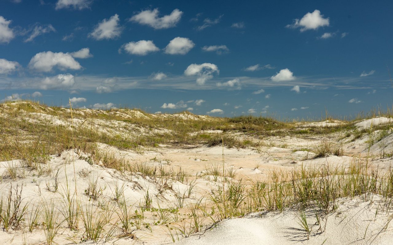 Anastasia Island