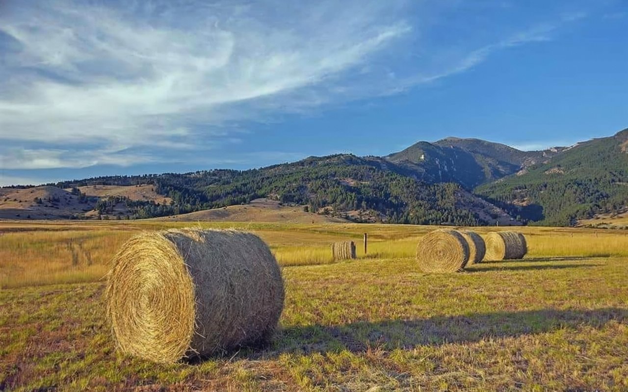 The Homestead Bozeman, Montana – Land for Sale