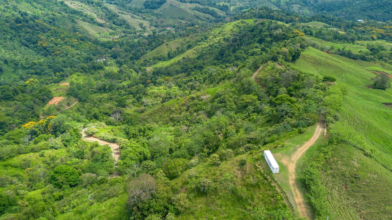 60 Hectares in Platanillo 