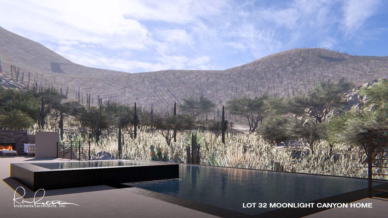 The Quiet Residents of Saguaro Ranch: Protecting the Sonoran Desert Tortoise