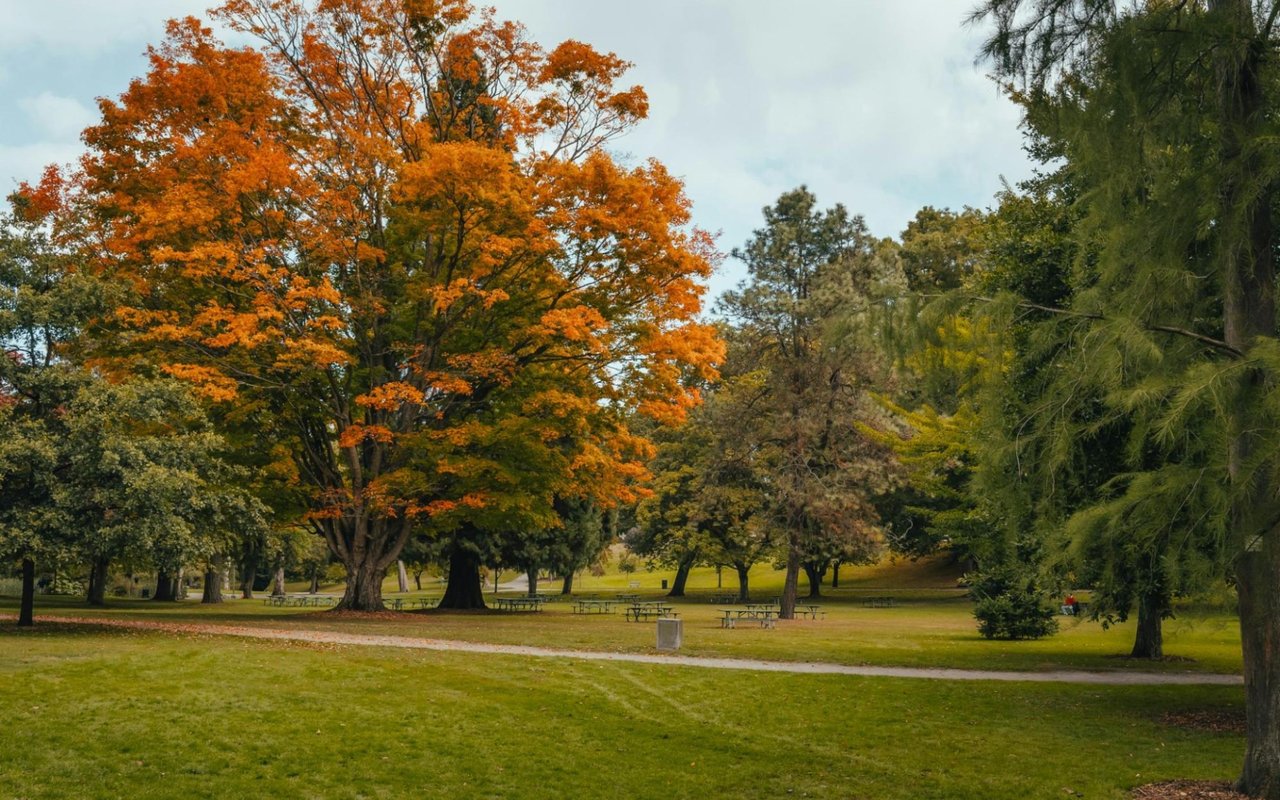 A Guide to Chesterfield Parks