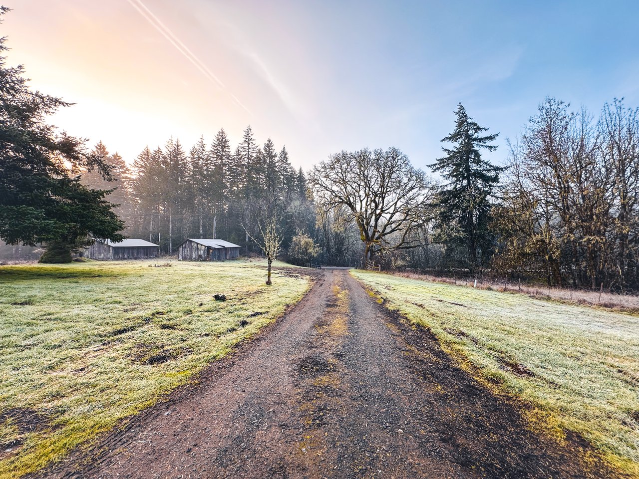 HARRIS FARM & FOREST