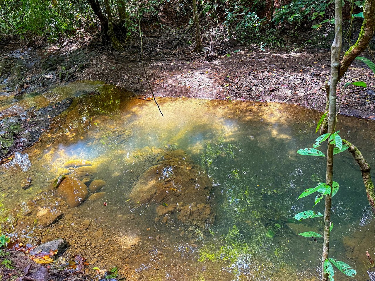 Jungle River Retreat with Airbnb & Build Space in Ojochal