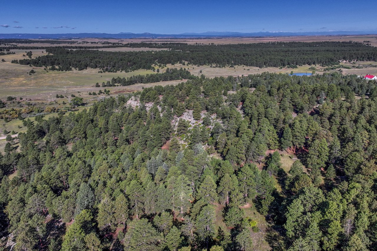 19100 County Road 17