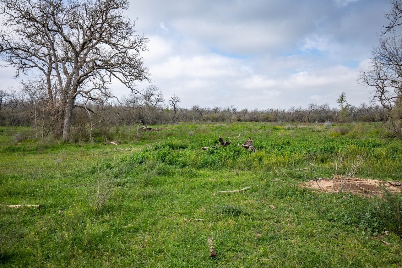 Dry Hollow Creek Ranch | 21.96± Acres | Bexar County