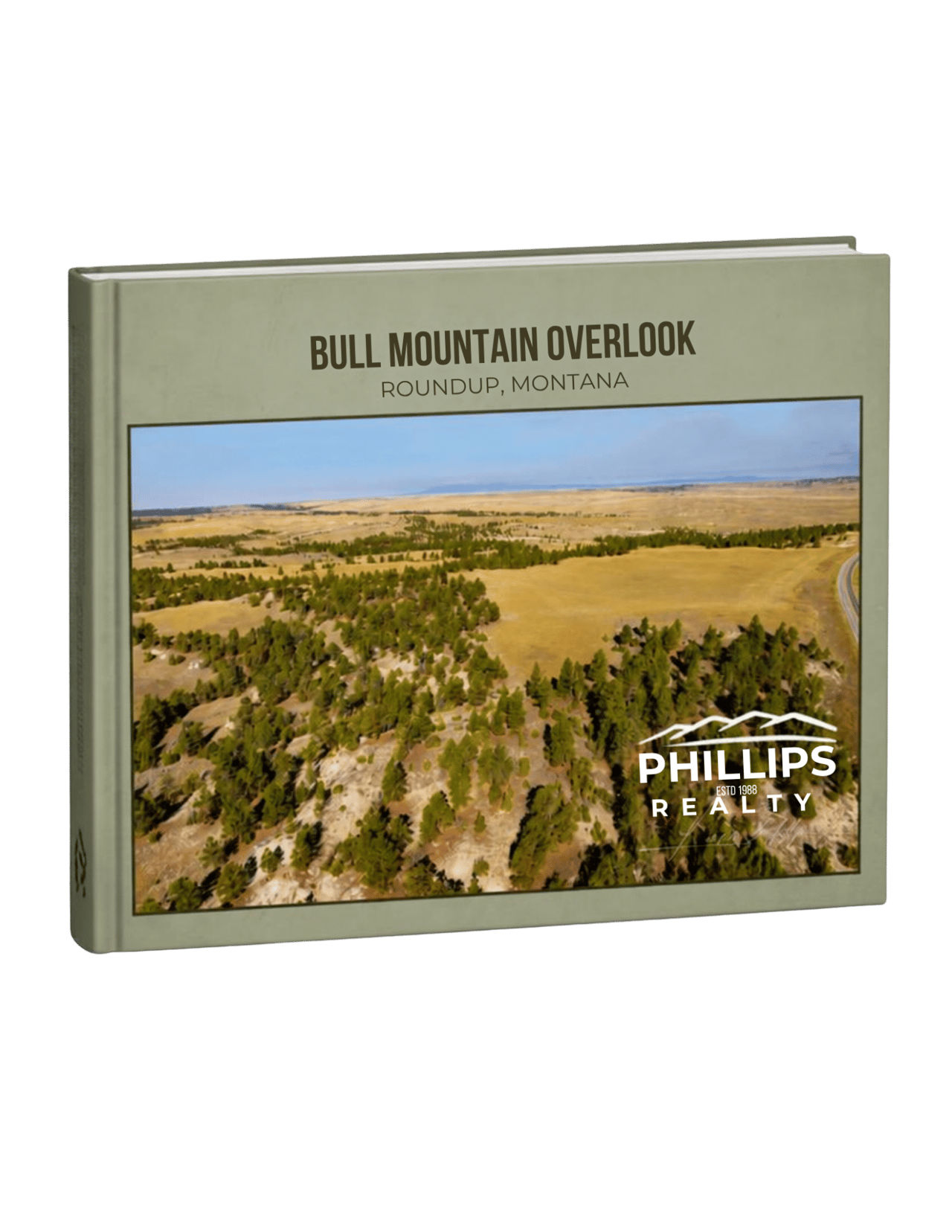 eBook Image