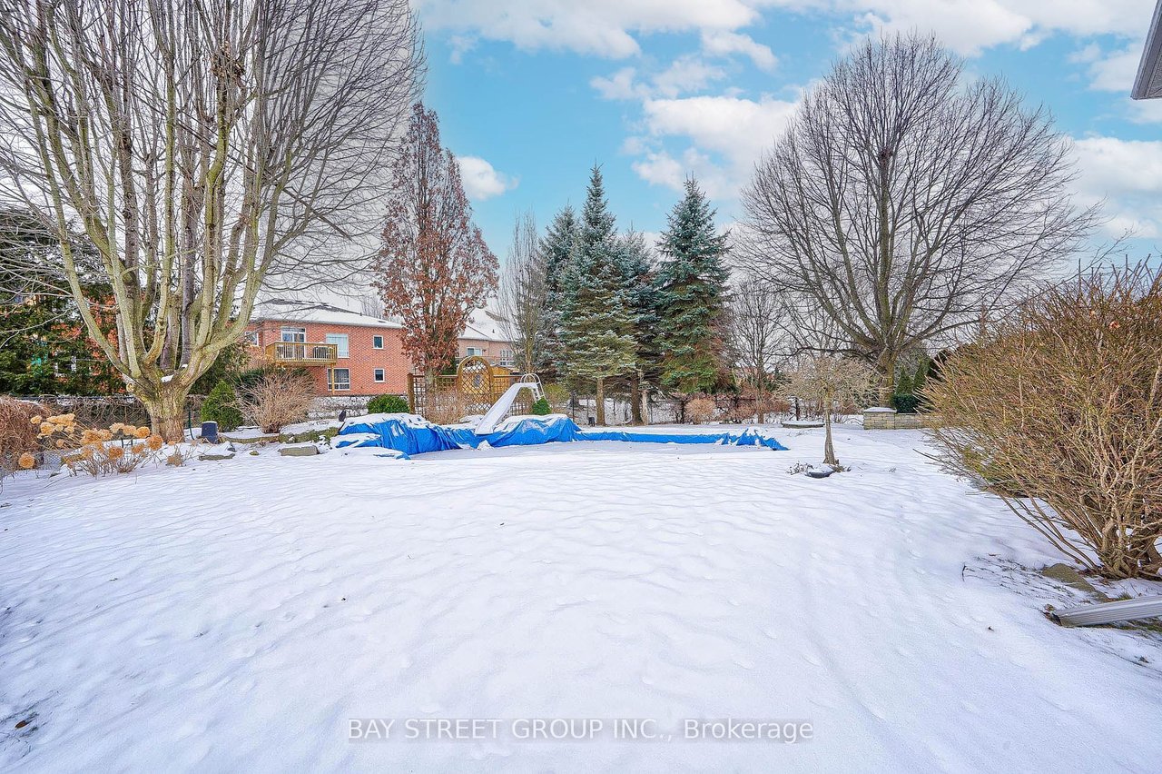 1074 Secretariate Rd, Newmarket