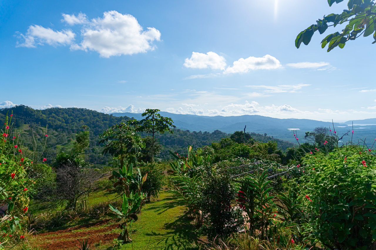 67 acres development (15 titled lots) with breathtaking views in Sierpe