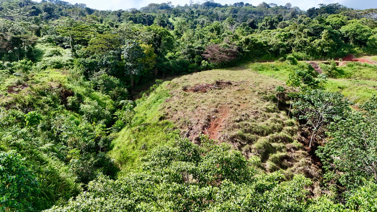 Off-Grid Ocean View Lot | 1.7 Acres in Las Nubes Matapalo Hills 