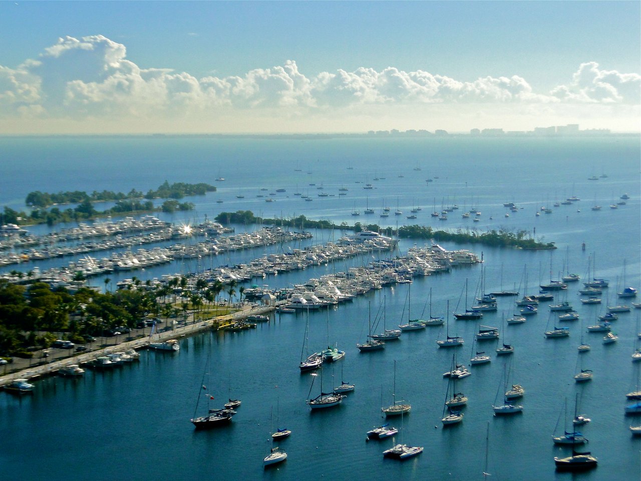 Coconut Grove