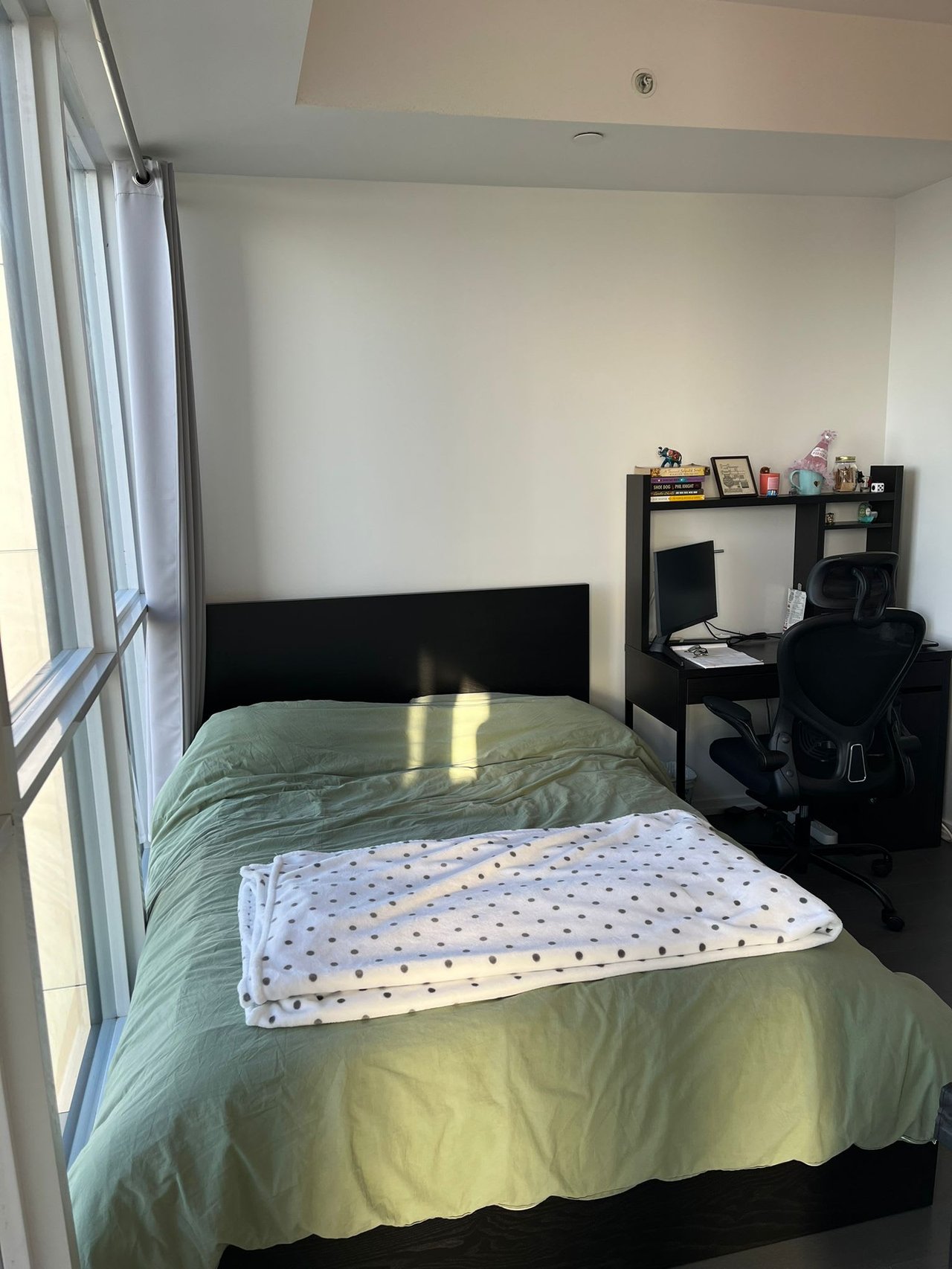 70 Temperance St, Unit 4517