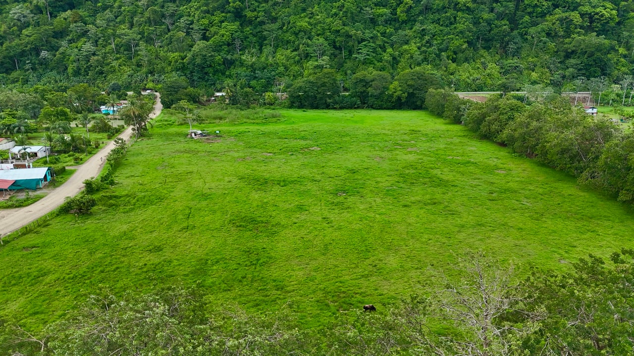 Fire Sale – Over 12 Acres of Land with Public Road Frontage Near Ojochal