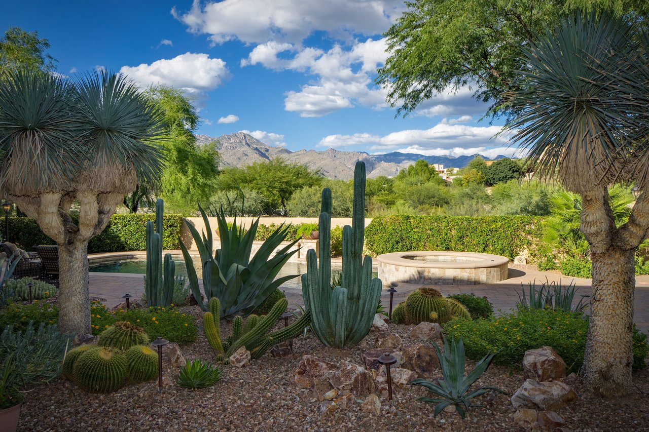 Incomparable Foothills Residence