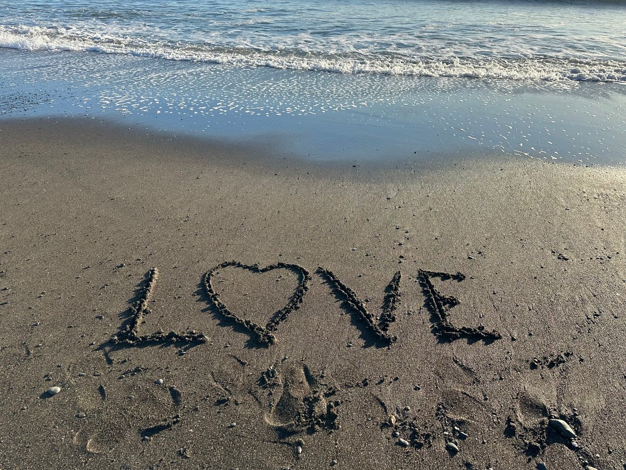 Muir Beach shores