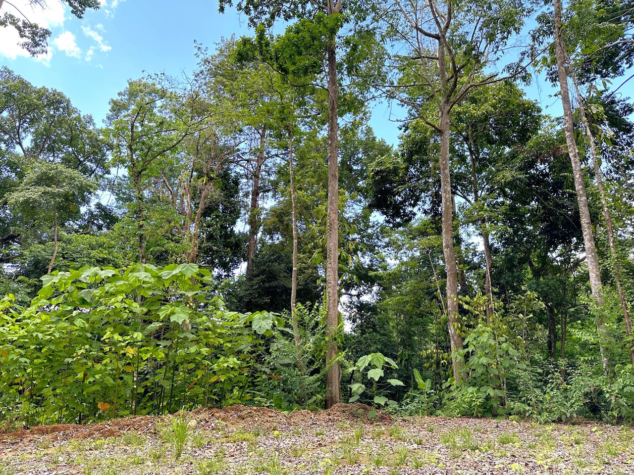 5.77 Acres With 4 Building Sites. Ocean Views, Rivers And Rainforest Abound In Cinco Ventanas! Ojochal 