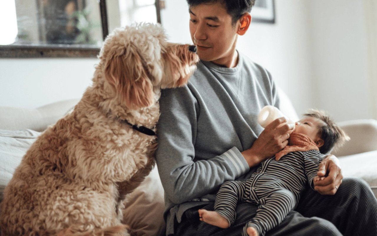 The Personal Joys of Having a Home To Call Your Own