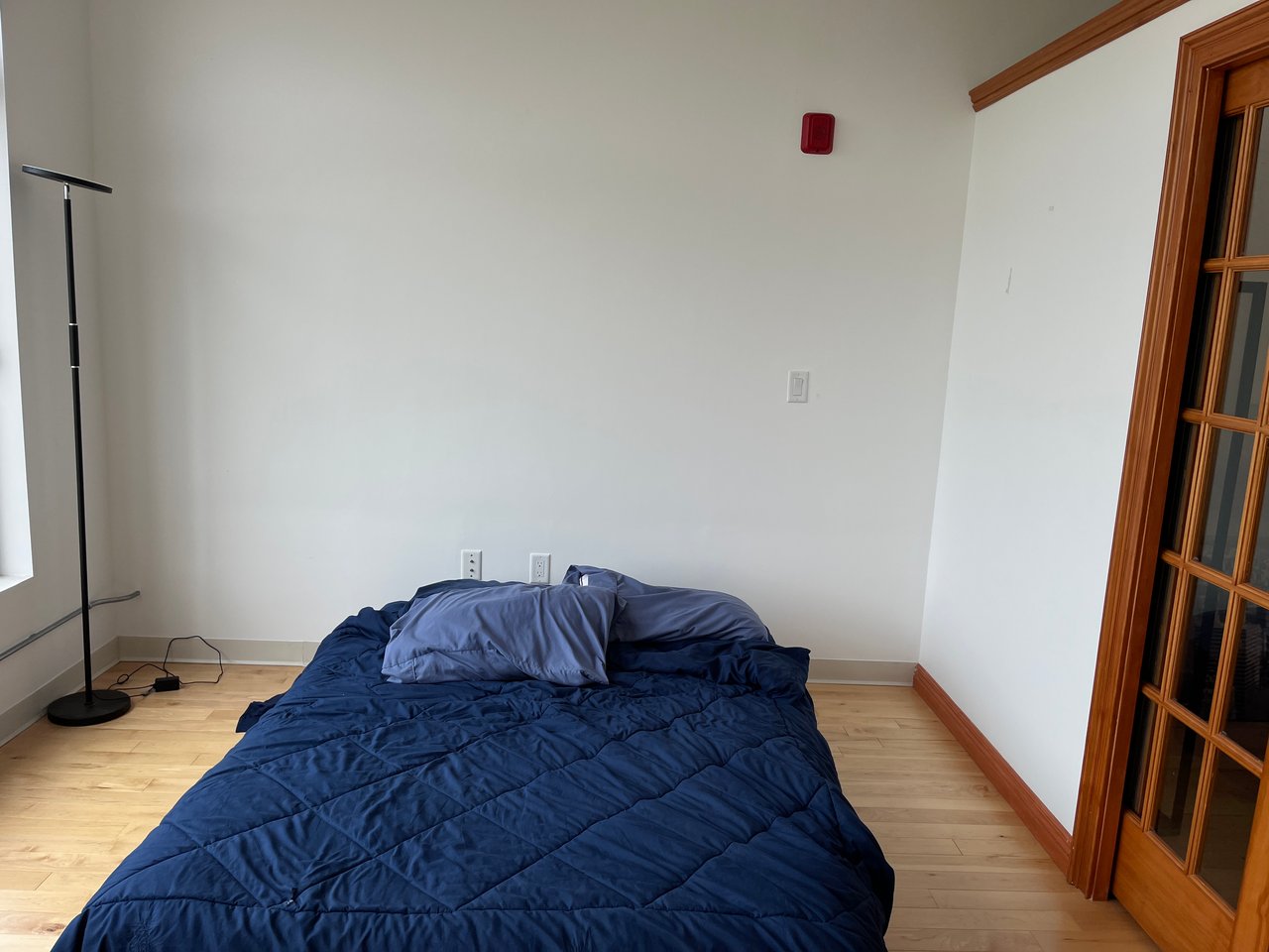 Northampton Street - One bed one back with laundry, roof deck, elevator and Parking! 
