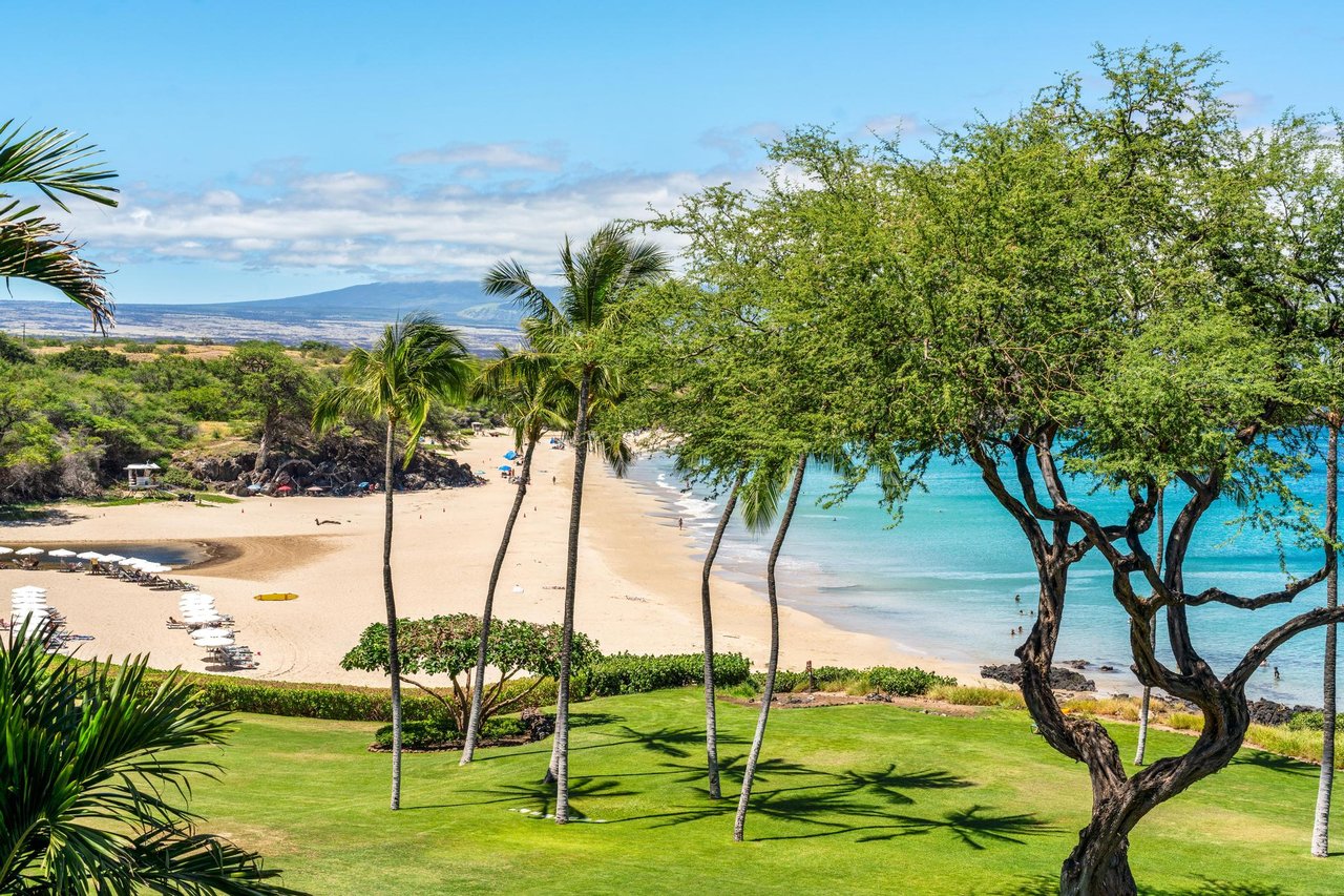 MAUNA KEA KOHALA COAST BIG ISLAND