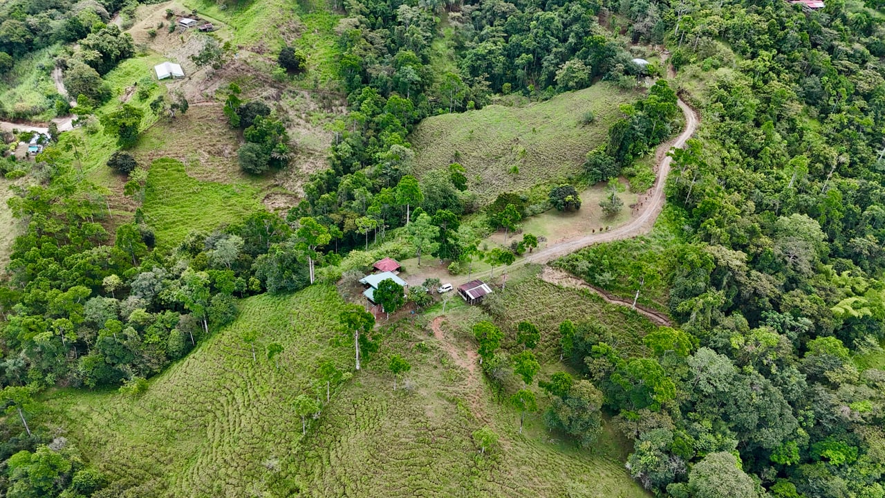 Spring, Waterfalls and more!  Farm in San Vito Limoncito!