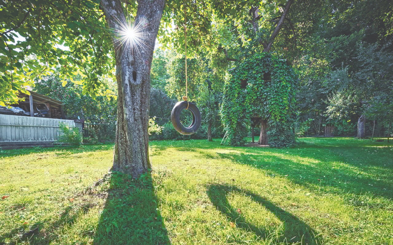 How to Resolve Boundary Tree Disputes in the GTA