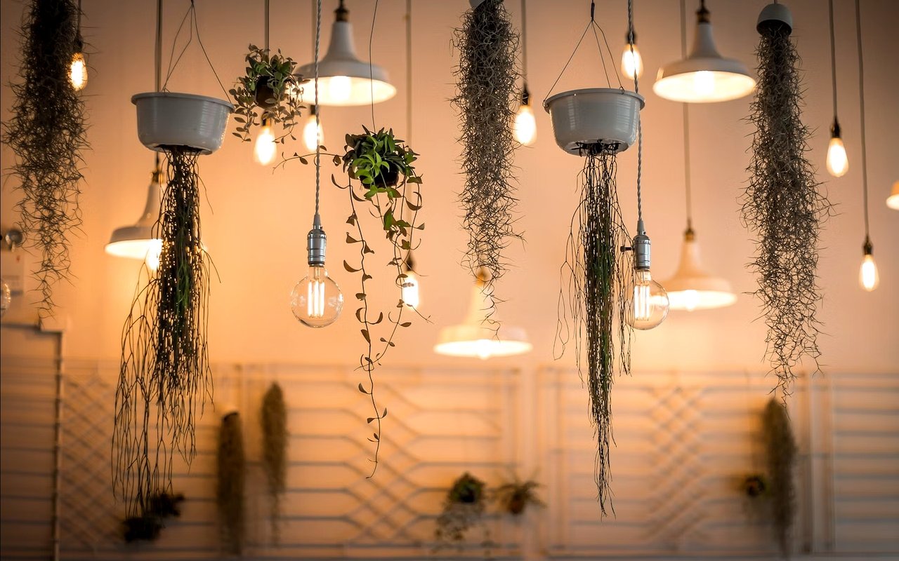 How to Use Elegant Lighting to Transform Your Living Space in Palo Alto