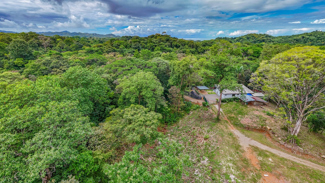 Modern 3-Bed Jungle Home with River and Pool in Cinco Ventanas Ojochal