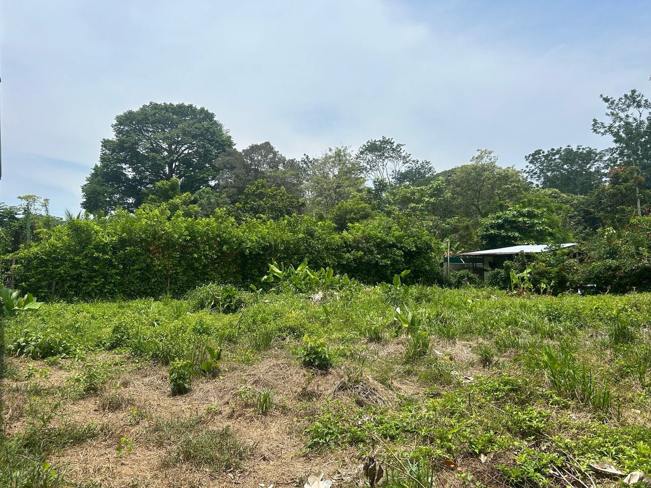 Affordable beach lot in Uvita
