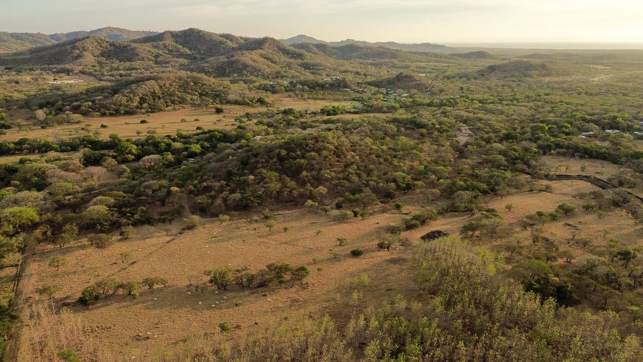 Prime Lot in a Serene Setting, Tamarindo, Guanacaste
