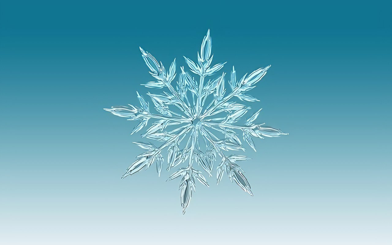 Winter Weather in South Texas - Things to Do