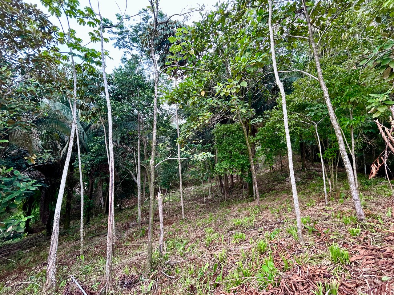 Over 1.4 Acres in Playa Hermosa – Just 5 Minutes from the Beach!