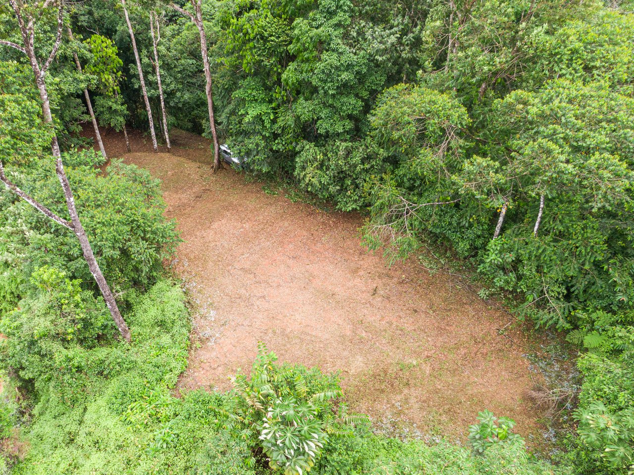 Beautiful 2 Acre Ocean View Lot inset into nature