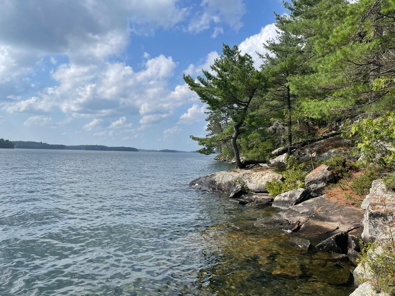 Elsinore Island*