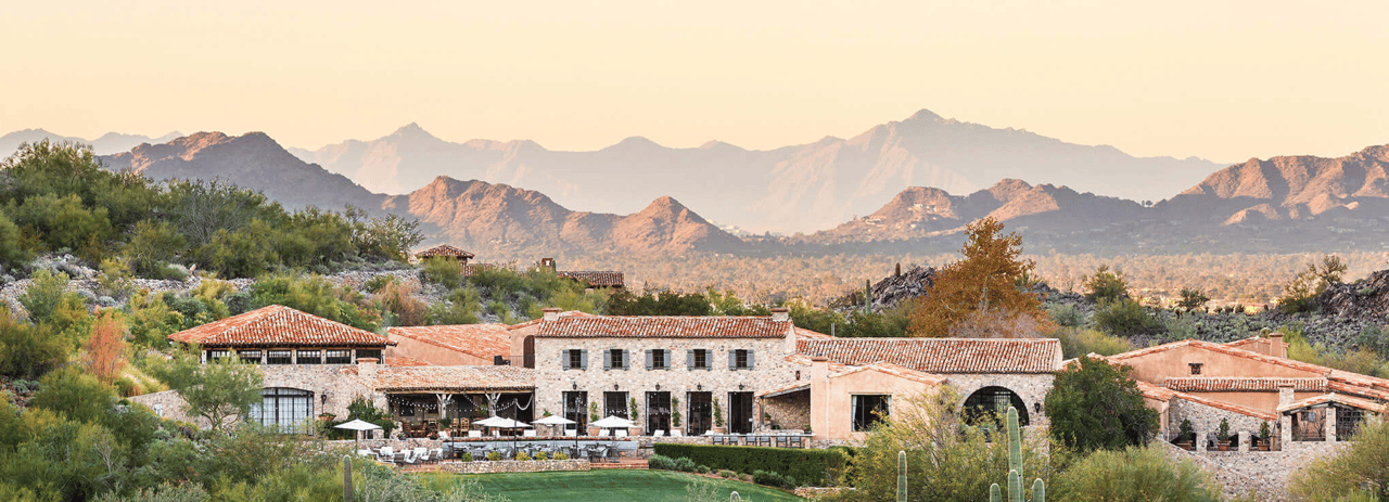 Silverleaf