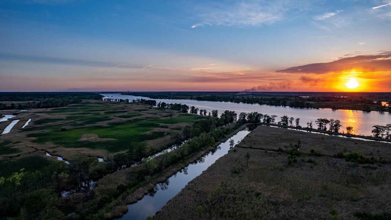 Ricefields Plantation