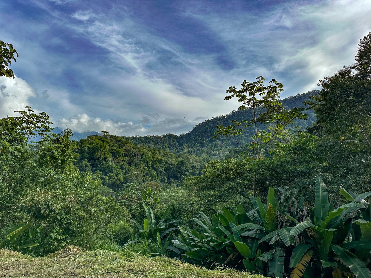 A Huge Rainforest, River & Waterfall Property With TWO Mountain & Jungle-View Luxury Homes on a Massive 4.93 Acre Lot – PLUS an Additional Plantel ready for Development