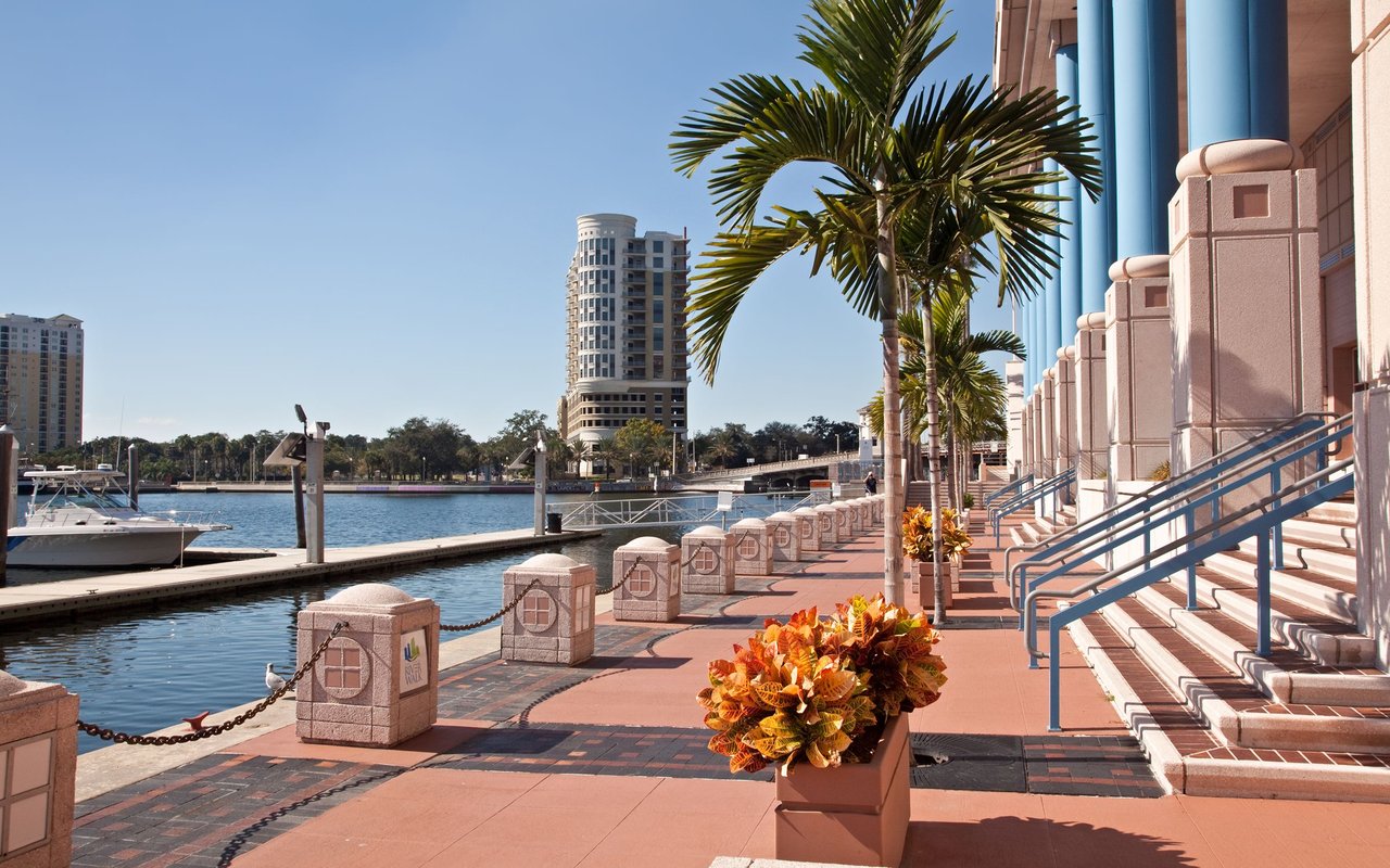 Waterfront promenade with palm trees, marina boats, and high-rise buildings across the water.