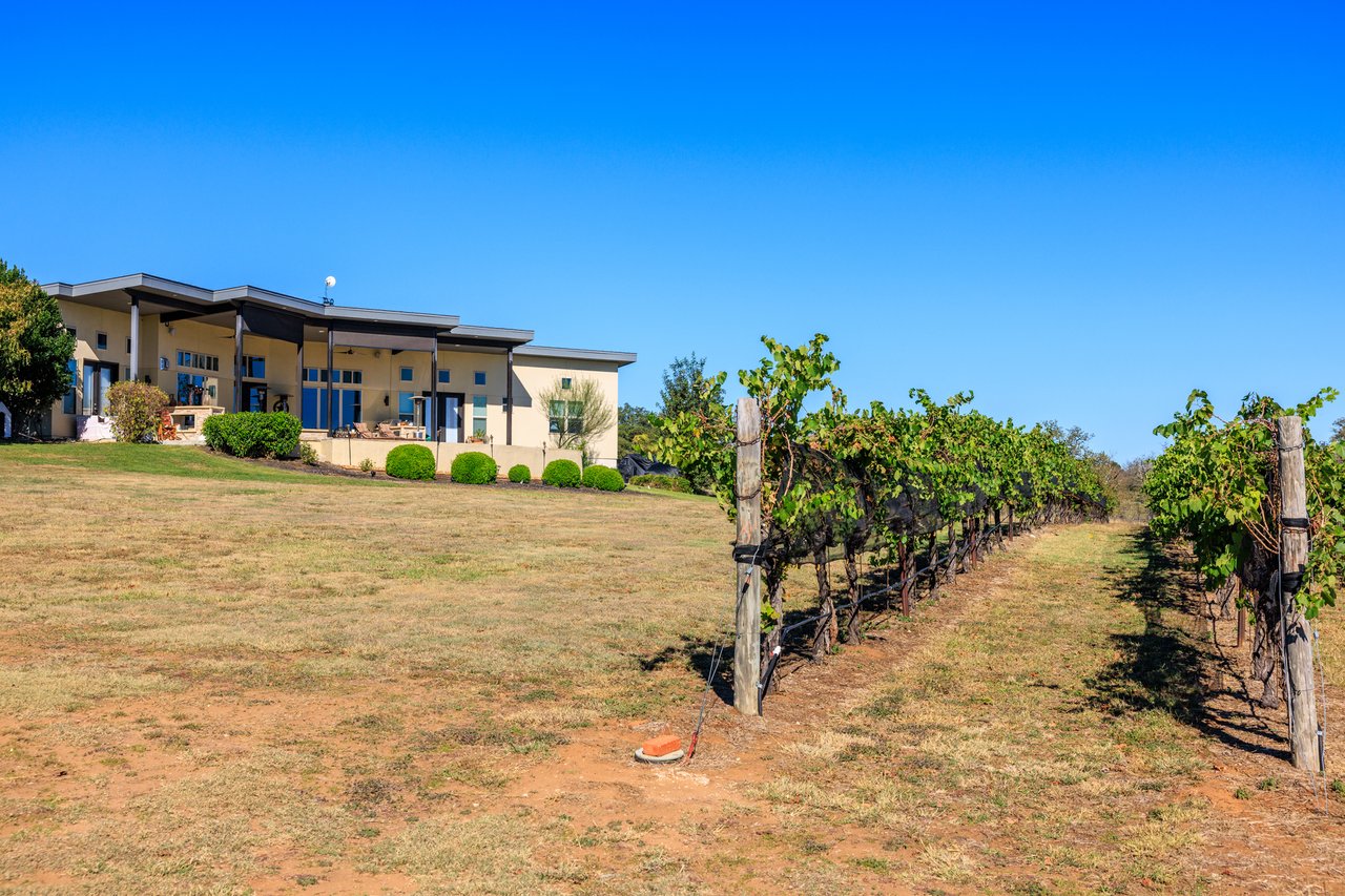 Round Mountain Vineyard