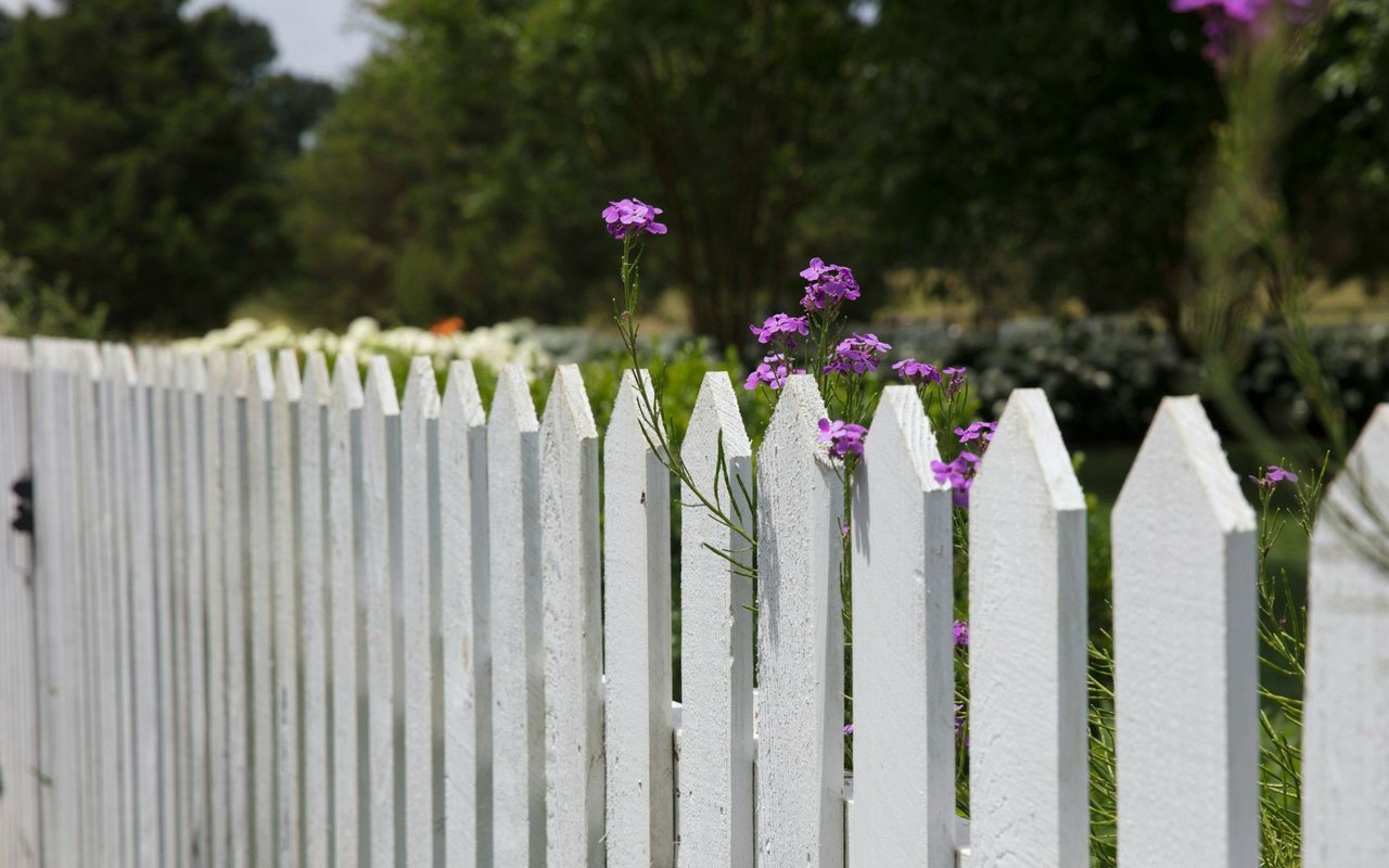 12 Cheap Ways to Fence In Your Yard
