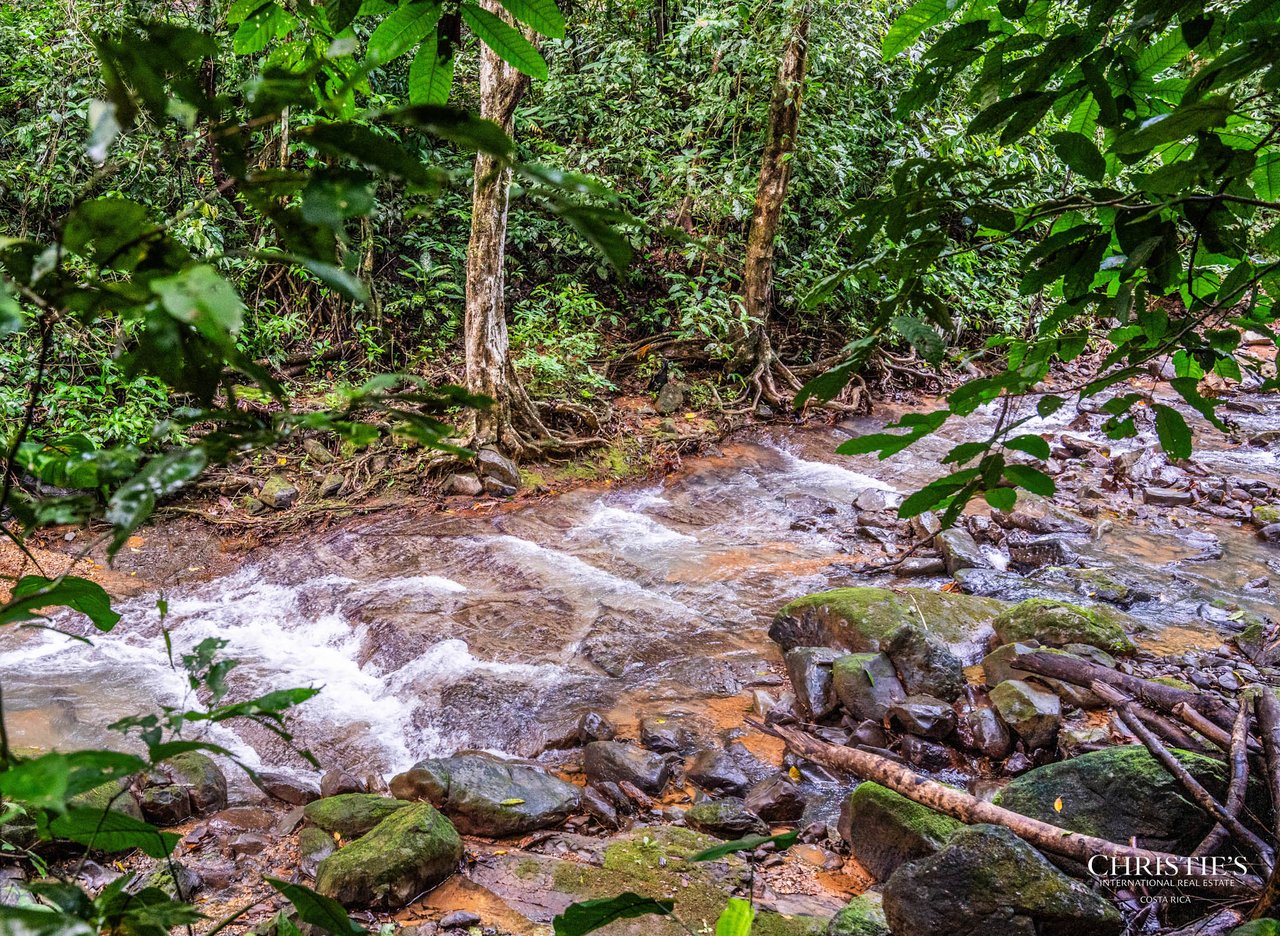 El Encanto Estate Waterfall, Regenerative Land & Carbon‑Neutral Sanctuary a Legacy Property
