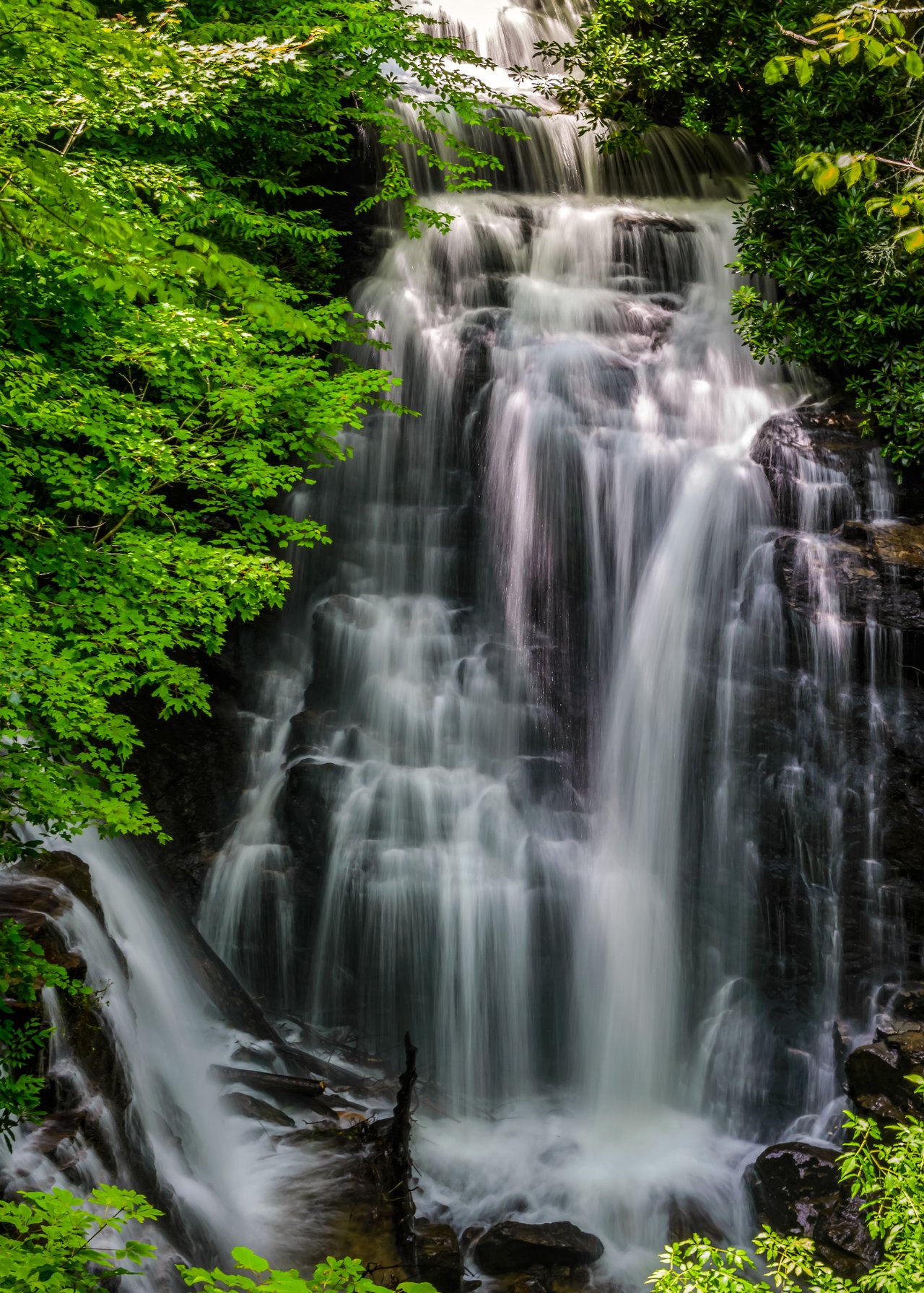 A cascading waterfall flows over dark rocks, offering a serene backdrop reminiscent of a platform where nature's wonders meet the lush green foliage.