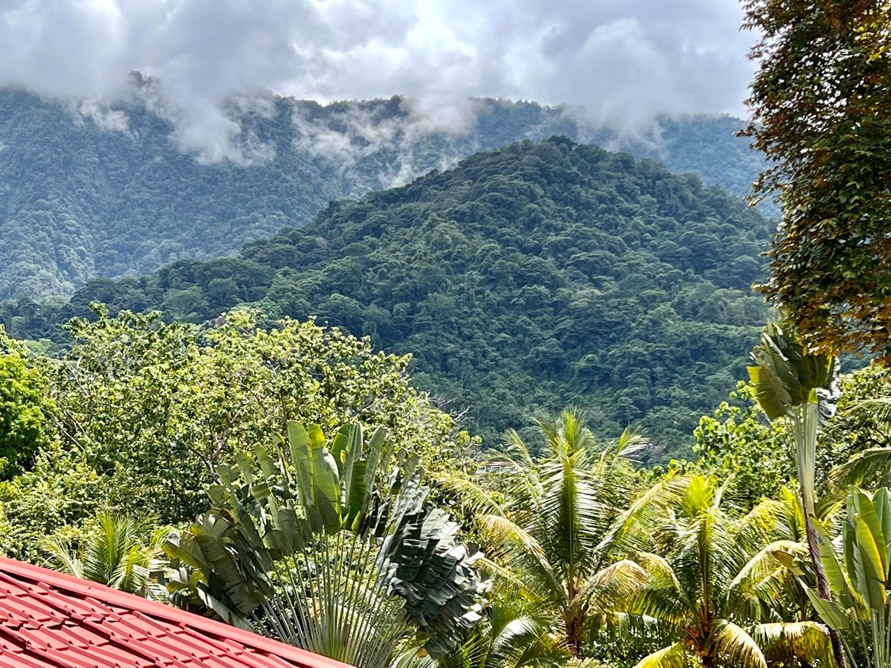 Peaceful 2-Bedroom Home in a Lush Garden in Ojochal