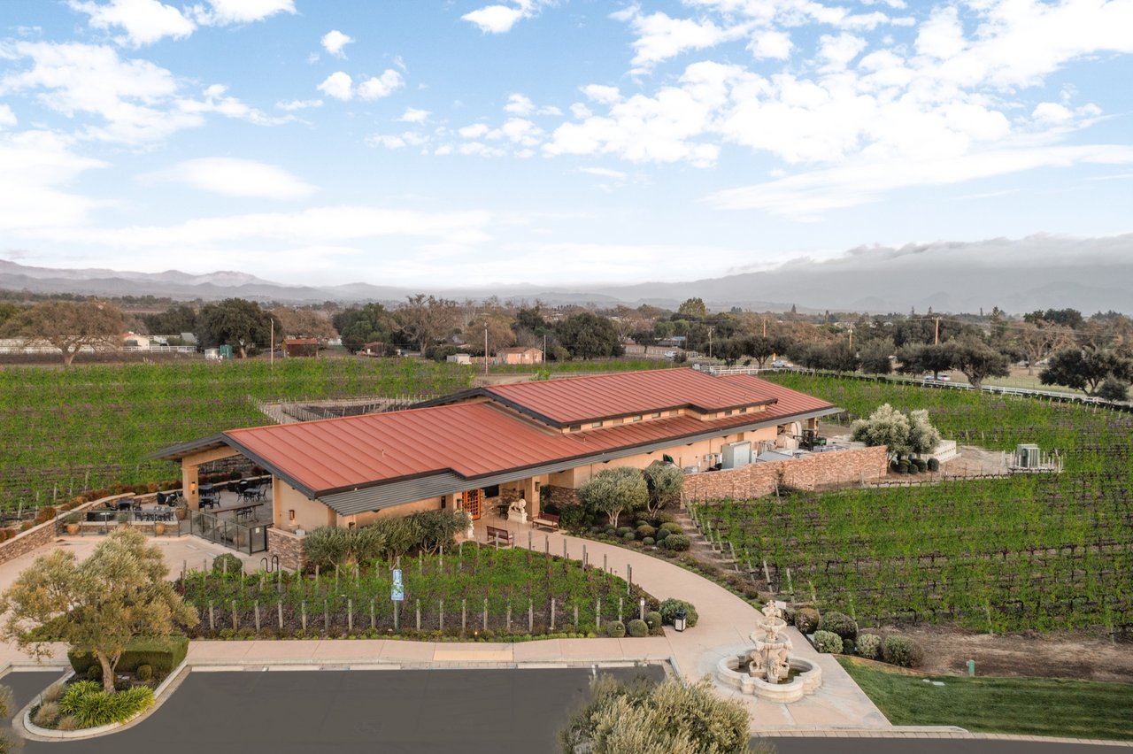Vincent Vineyards