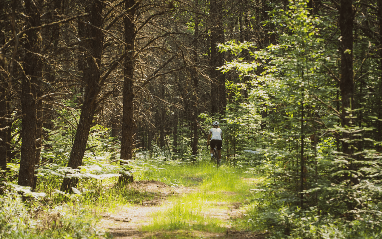 Best Ways to Stay Active in Forest Lake, MN