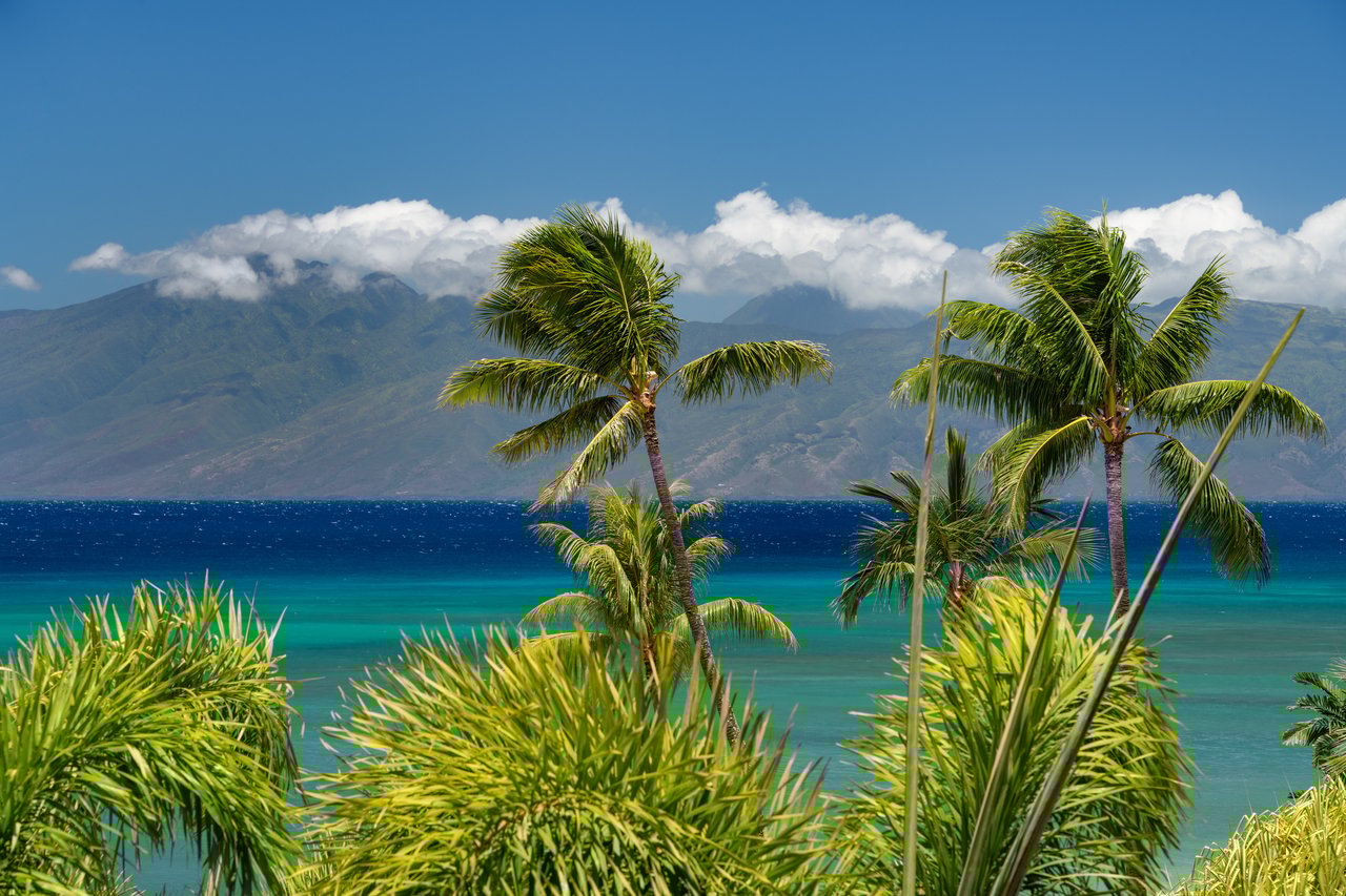 Sands of Kahana 134