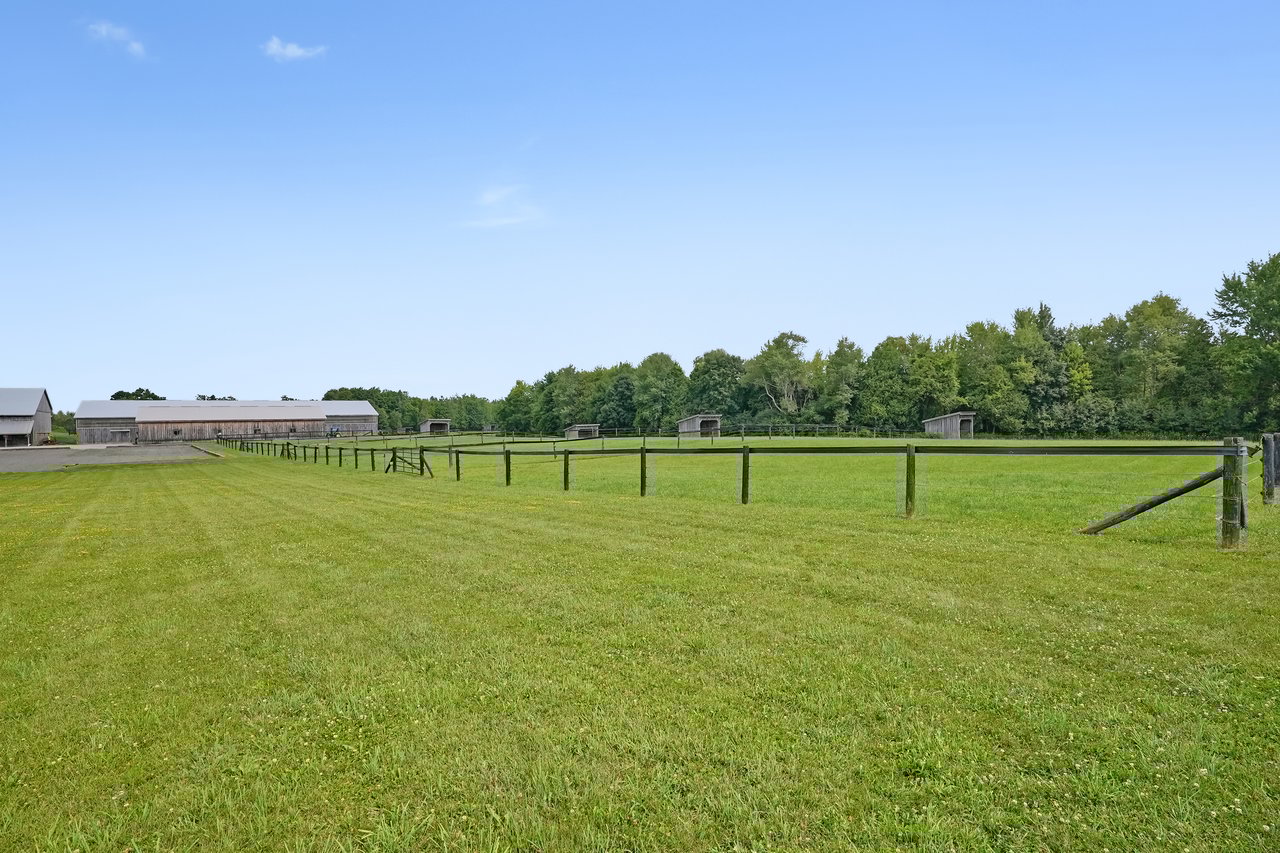 Extraordinary Equestrian Estate