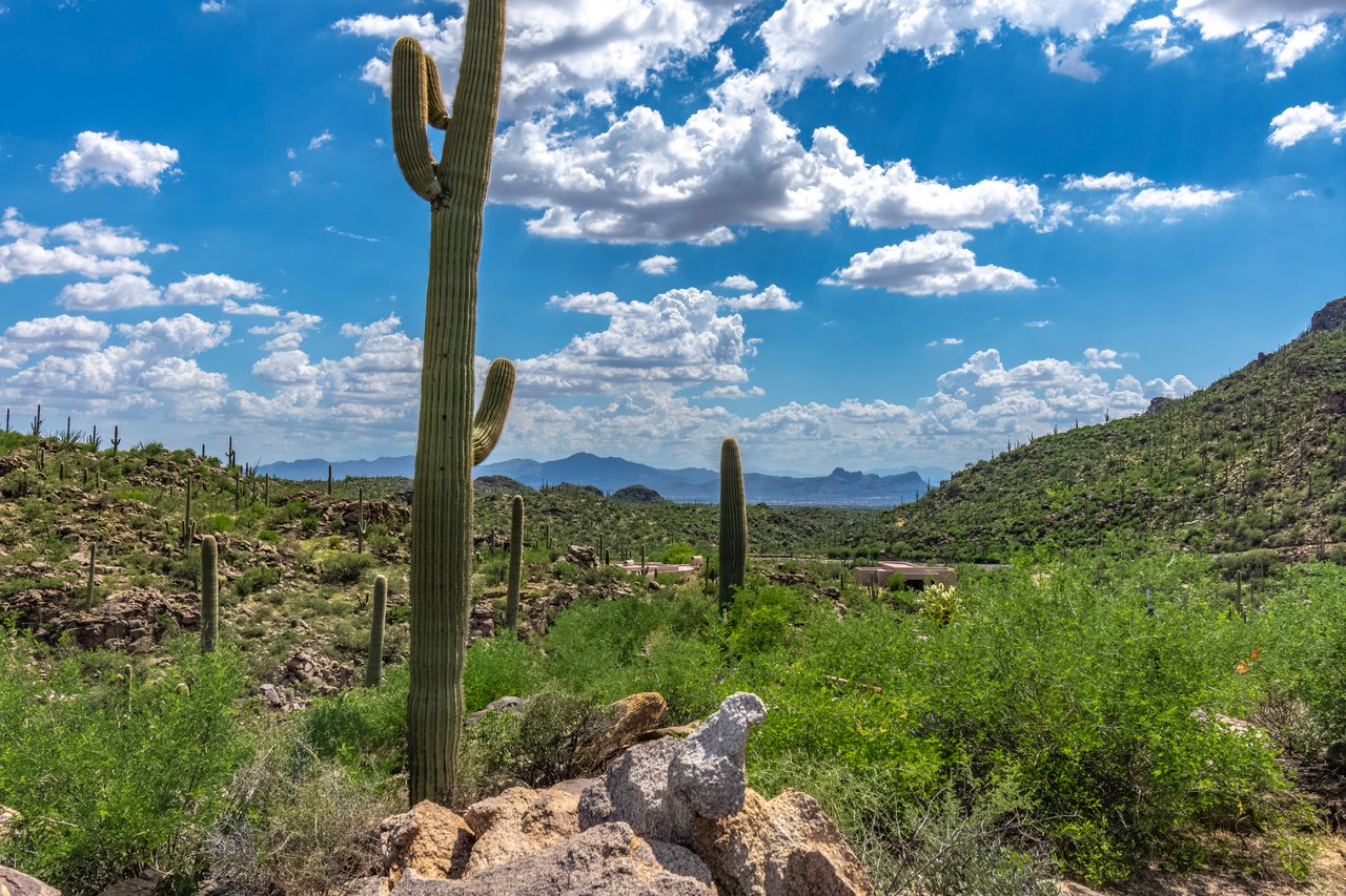 Lot #68: Elevated Living Above the Canyon Floor