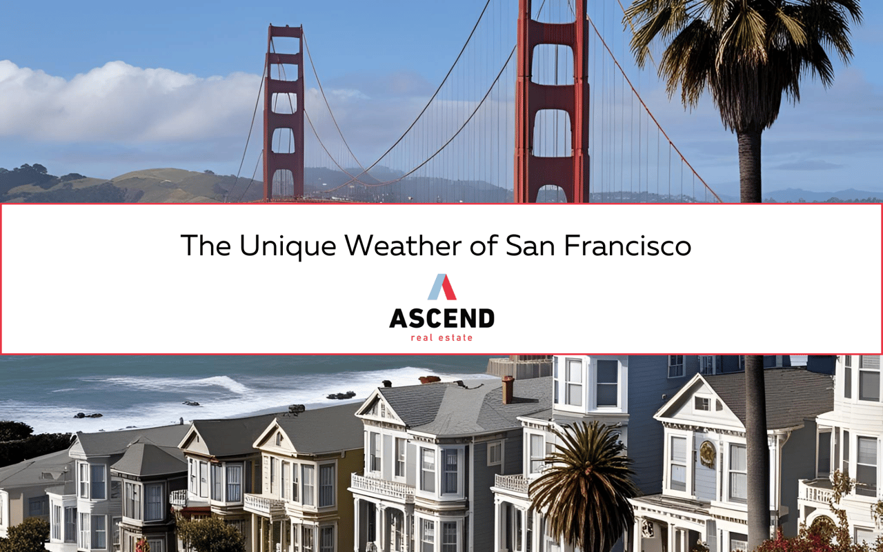 The Unique Weather of San Francisco