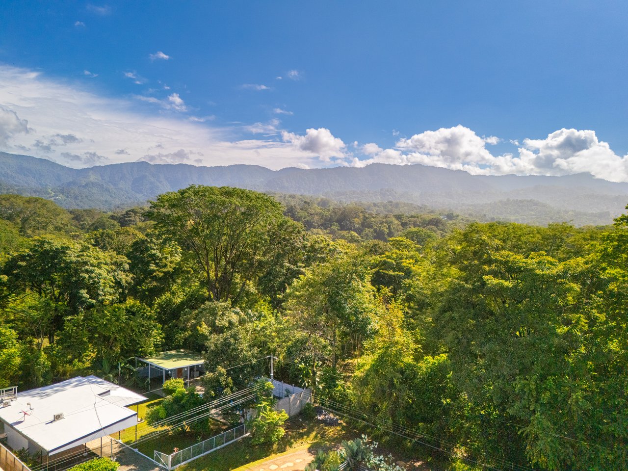 3-Bedroom Home on a Double Lot with Large Pool Backing to Jungle