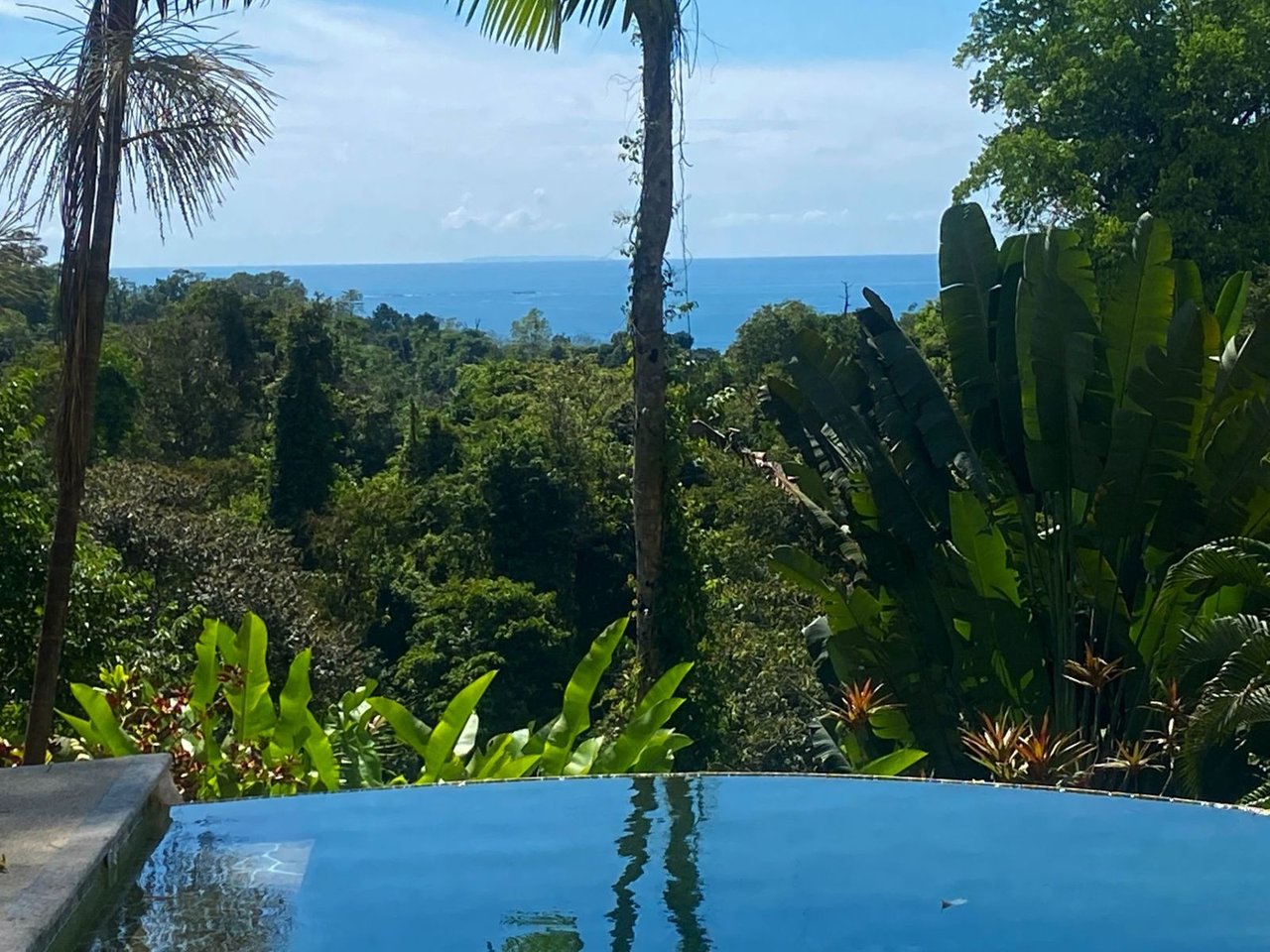 Jungle Villa with Infinity Pool, Uvita, Puntarenas
