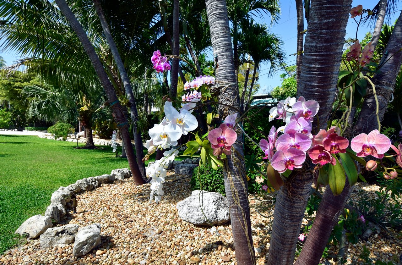 127 Sapodilla Drive, Islamorada FL 